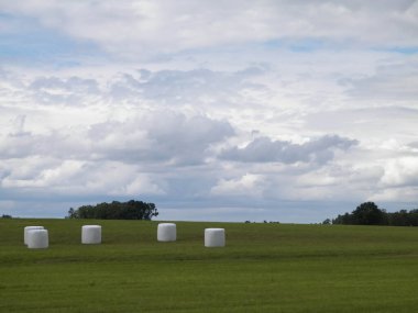 Harvest bales on a green field. End of the summer in northern Poland. Harvesting. clipart