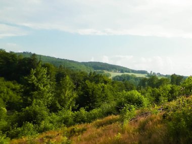 Polonya 'nın merkezi Kashubia' nın güzelliği. Orman ve dağ manzarası. Seyahat ve doğa kavramı.