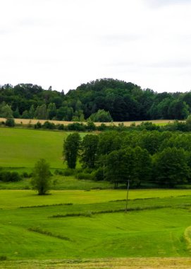 Wiezyca 'nın tarlaları ve çayırları. Wiezyca, Kashubia Bölgesi 'nin popüler bir turistik bölgesidir. Polonya