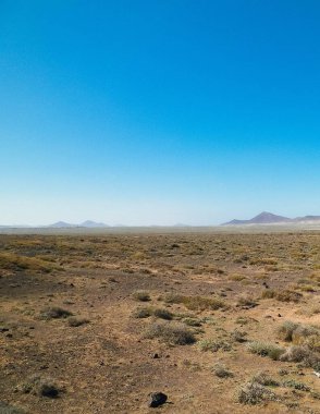 Çöl manzarası, Lanzarotte, Kanarya Adaları. Çöl, Lanzarote adasındaki tipik bir manzaradır. Seyahat ve doğa kavramı.