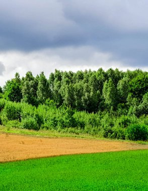 Kashubia Polonya 'da bulutlu bir gün. Bulutlar tepelerin üzerinde toplanıyor. Fırtına geliyormuş. Kuzey Polonya 'nın güzelliği. Pomerania Kashubia Wiezyca Bölgesi.