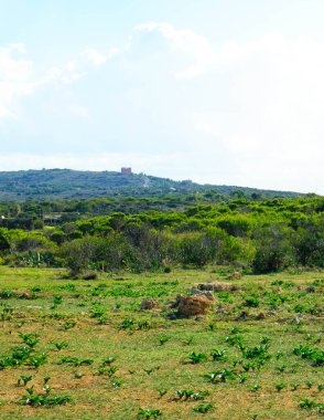 Foresta 2000 nature reserve on Marfa peninsula Malta. Northern part of island. clipart
