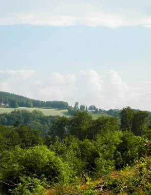 Polonya 'nın merkezi Kashubia' nın güzelliği. Orman ve dağ manzarası. Seyahat ve doğa kavramı.