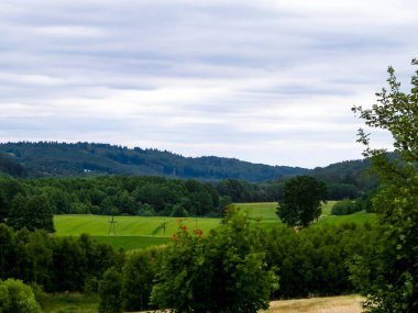 Wiezyca 'nın dağlık manzarası. Wiezyca, Polonya 'nın Kashubia bölgesinin dağlık bir parçasıdır..