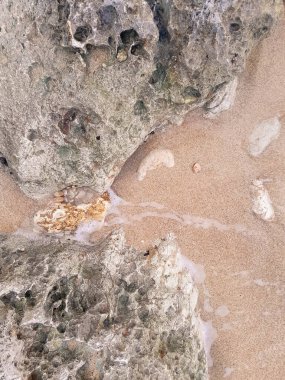 Doğal bir arka plan olarak kıyı kayaları ve deniz suyu. Boşluğu kopyala.