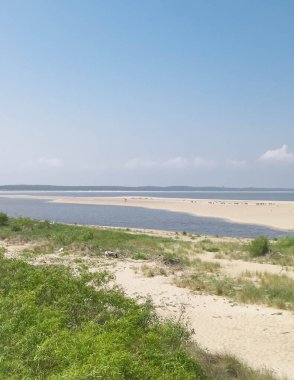 Sobieszewska Adası 'ndaki Baltık Denizi Kıyısı. Vistula Nehri 'nin kıyısında. Kuzey Polonya 'nın doğası.