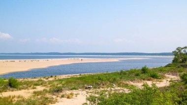 Sobieszewska Adası 'ndaki Baltık Denizi Kıyısı. Vistula Nehri 'nin kıyısında. Kuzey Polonya 'nın doğası.