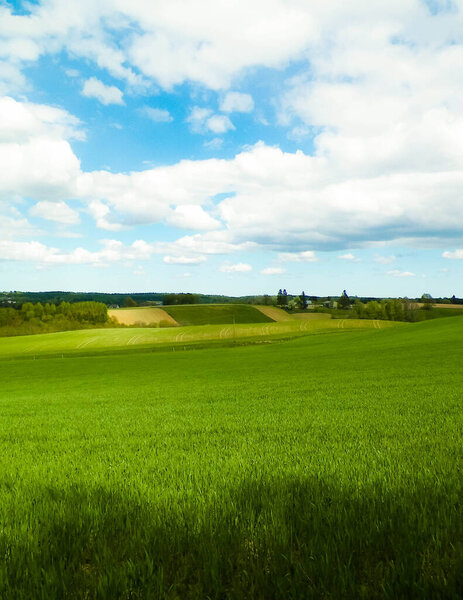 Green fields in Kashubia region - Northern Poland. Cloudy day, travel and nature concept.