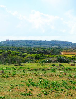 Foresta 2000 nature reserve on Marfa peninsula Malta. Northern part of island. clipart