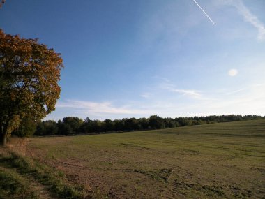 Yaz sonu - sonbahar ağaçları ve tarlalar. Polonya doğası. Mavi gökyüzündeki boşluğu kopyala. Mechelinki, Polonya.