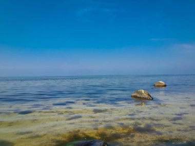 Baltık deniz manzarası. Doğa konsepti. Boşluğu kopyala.