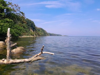 Oslonino yakınlarındaki Pucka Körfezi 'nin kıyı bölgesi. Polonya saf doğa.