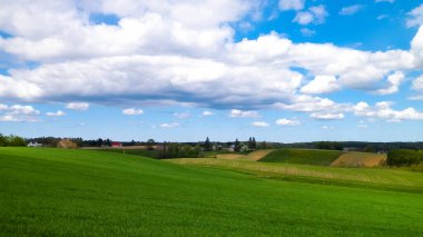 Kashubia bölgesindeki yeşil alanlar, Kuzey Polonya. Bulutlu bir gün, seyahat ve doğa konsepti.