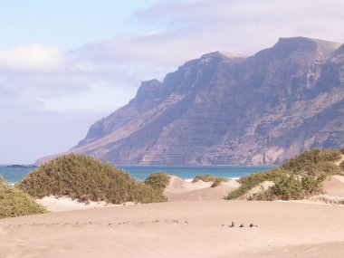 Plaj ve Dağlar - Caleta de Famara 'nın güzel kıyıları, Lanzarote Kanarya Adaları. Caleta de Famara 'daki plaj sörfçüler arasında çok popüler..