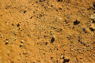 Doğal arka plan olarak çöl kumu. Boşluğu kopyala.