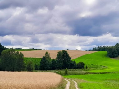 Fırtına geliyormuş. Kashubian çayırlarının üzerinde bulutlu bir gökyüzü. Saf doğa, Kuzey Polonya 'nın güzel manzarası. Pomeranya 'daki Kashyubia Bölgesi.