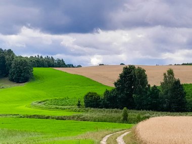 Fırtına geliyormuş. Kashubian çayırlarının üzerinde bulutlu bir gökyüzü. Saf doğa, Kuzey Polonya 'nın güzel manzarası. Pomeranya 'daki Kashyubia Bölgesi.