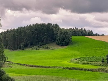 Fırtına geliyormuş. Kashubian çayırlarının üzerinde bulutlu bir gökyüzü. Saf doğa, Kuzey Polonya 'nın güzel manzarası. Pomeranya 'daki Kashyubia Bölgesi.
