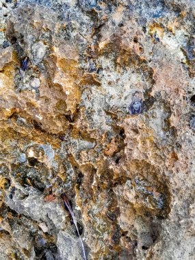 Doğal bir arka plan olarak kıyı kayaları ve deniz suyu. Boşluğu kopyala.