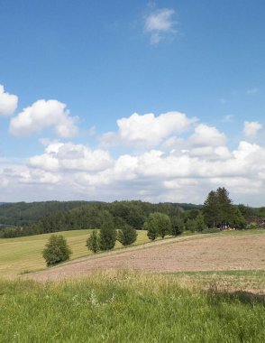 Wiezyca Bölgesi, Pomerania, Kashubia, Polonya 'nın güzel tepeleri ve çayır manzarası.