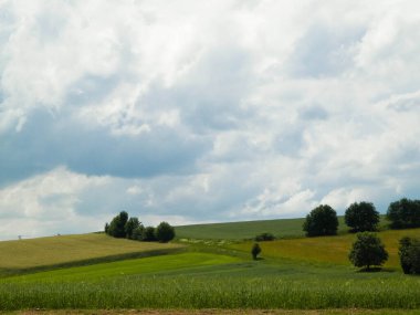 Wiezyca Bölgesi, Pomerania, Kashubia, Polonya 'nın güzel tepeleri ve çayır manzarası.