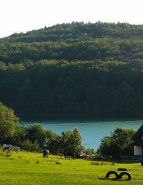 Kashubia 'nın dağlık arazisi. Wiezyca 'daki otlaklarda atlar ve Ostrzyckie Gölü' nün suyu ikinci bir planda. Wiezyca, kuzey Polonya 'nın Kashubia bölgesinde ve popüler bir turistik merkezdir..