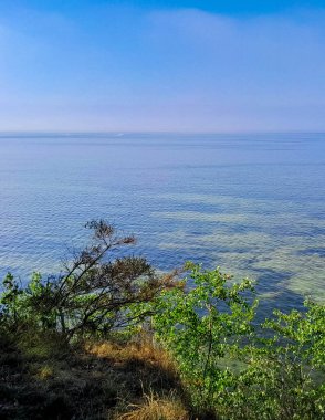 Polonya 'daki Pucka Körfezi' nin temiz su manzarası çok güzel. Pucka Körfezi 'nin doğal koşulları biliniyor. Temiz su ve güzel manzaralar..