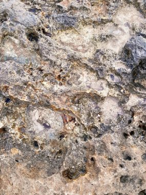 Doğal bir arka plan olarak kıyı kayaları ve deniz suyu. Boşluğu kopyala.