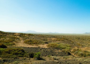 Çöl manzarası, Lanzarotte, Kanarya Adaları. Çöl, Lanzarote adasındaki tipik bir manzaradır. Seyahat ve doğa kavramı.