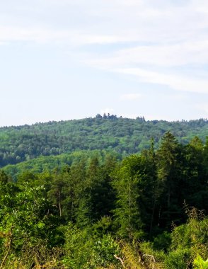 Wiezyca 'nın dağlık manzarası. Wiezyca, Polonya 'nın Kashubia bölgesinin dağlık pazarıdır..