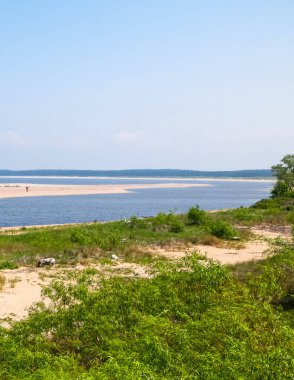 Sobieszewska Adası 'ndaki Baltık Denizi Kıyısı. Vistula Nehri 'nin kıyısında. Kuzey Polonya 'nın doğası.