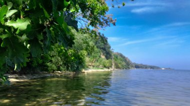 Oslonino yakınlarındaki Pucka Körfezi 'nin kıyı bölgesi. Polonya saf doğa.