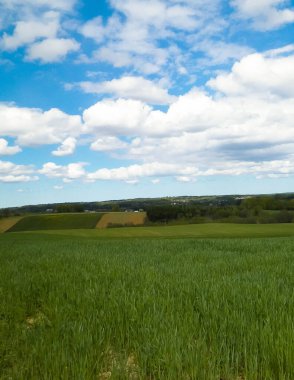 Kashubia bölgesindeki yeşil alanlar, Kuzey Polonya. Bulutlu bir gün, seyahat ve doğa konsepti.
