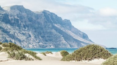 Plaj ve Dağlar - Caleta de Famara 'nın güzel kıyıları, Lanzarote Kanarya Adaları. Caleta de Famara 'daki plaj sörfçüler arasında çok popüler..