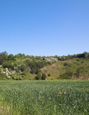 Maden bölgesindeki çakıl ocağı. Kuzey Polonya. Gökyüzündeki boşluğu kopyala. Doğal çevre keşfi kavramı.