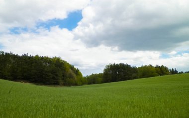 Kashubia bölgesindeki yeşil alanlar, Kuzey Polonya. Bulutlu bir gün, seyahat ve doğa konsepti.