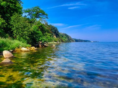 Oslonino yakınlarındaki Pucka Körfezi 'nin kıyı bölgesi. Polonya saf doğa.