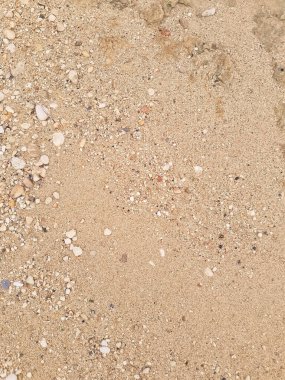 Zemin doğal arka plan. Boşluğu kopyala.