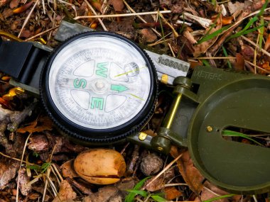 Pusulayı yere yakın tut. Seyahat kavramı.