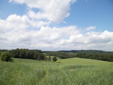 Wiezyca Kashubia bölgesinin tepeleri ve tarlaları, Polonya. Seyahat ve doğa kavramı.