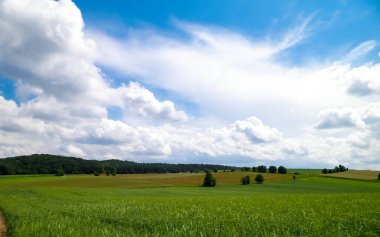 Wiezyca Kashubia bölgesinin tepeleri ve tarlaları, Polonya. Seyahat ve doğa kavramı.