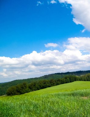 Wiezyca Kashubia bölgesinin tepeleri ve tarlaları, Polonya. Seyahat ve doğa kavramı.