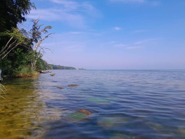 Baltık Denizi 'nin vahşi kıyıları. Puck Bay 'de. Seyahat ve güzellik doğada var..
