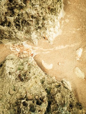 Doğal bir arka plan olarak kıyı kayaları ve deniz suyu. Boşluğu kopyala.