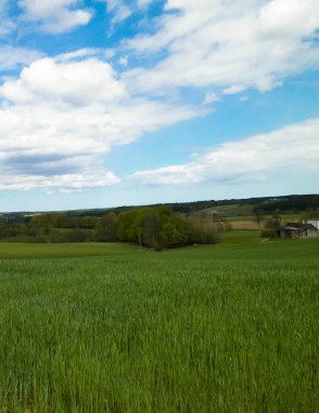 Kashubia bölgesindeki yeşil alanlar, Kuzey Polonya. Bulutlu bir gün, seyahat ve doğa konsepti.