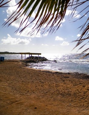 Paphos City yakınlarındaki tropik plaj, Kıbrıs adası. Boşluğu mavi gökyüzünde kopyala - bir kartpostal için iyi bir arkaplan.