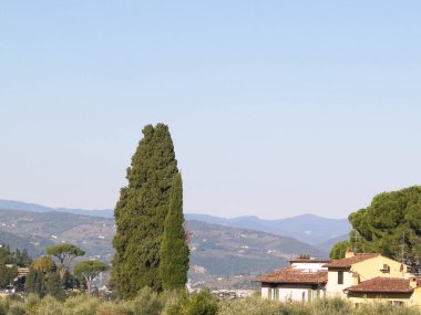 Toskana tepelerinin manzarası. Toskana 'da yaz, Apennines. Seyahat ve doğa kavramı.