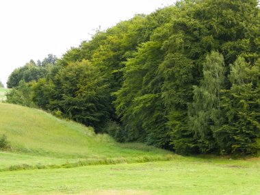 Green hills and forest - landscape of Kashubian Region, Poland. Travel and nature concept.