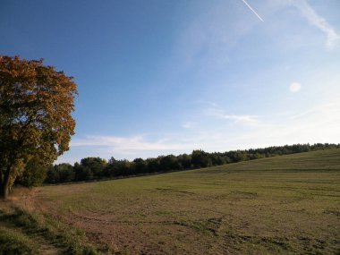 Yaz sonu - sonbahar ağaçları ve tarlalar. Polonya doğası. Mavi gökyüzündeki boşluğu kopyala. Mechelinki, Polonya.