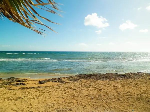 Paphos City yakınlarındaki tropik plaj, Kıbrıs adası. Boşluğu mavi gökyüzünde kopyala - bir kartpostal için iyi bir arkaplan.